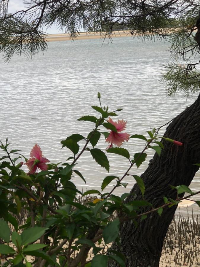 4Shore@Waterfrontplace ماروتشيدور المظهر الخارجي الصورة